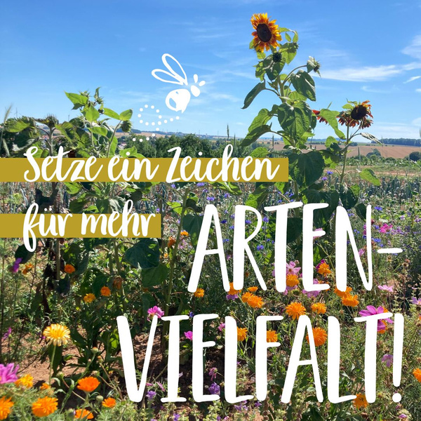 KI generiert: Das Bild zeigt ein blühendes Feld mit Sonnenblumen und anderen Wildblumen unter einem blauen Himmel. Der Text "Setze ein Zeichen für mehr Artenvielfalt!" hebt die Bedeutung von Biodiversität hervor.