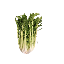 Produktfoto zu Puntarelle