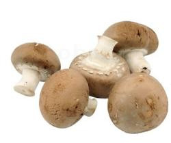 Produktfoto zu Champignons