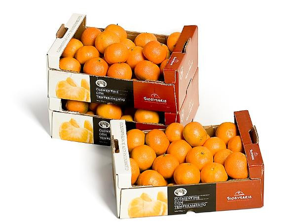 Produktfoto zu Mandarinen 2kg