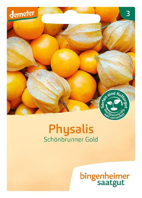 Produktfoto zu Saatgut Physalis