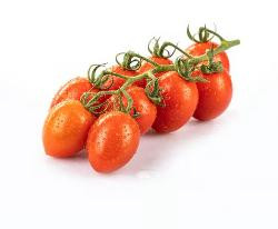 Produktfoto zu Piccadilly Tomaten