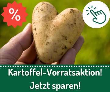 Kürbiszeit