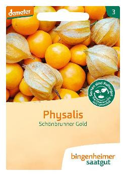 Produktfoto zu Saatgut Physalis