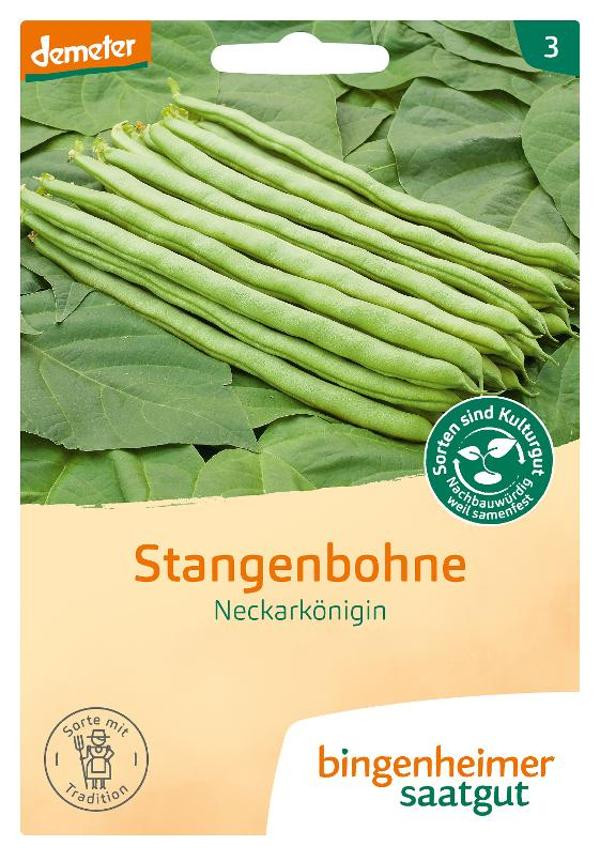 Produktfoto zu Saatgut Stangenbohnen Neckarkönigin