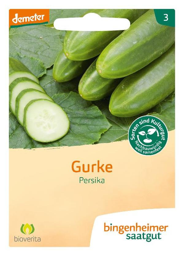 Produktfoto zu Gurke Saatgut