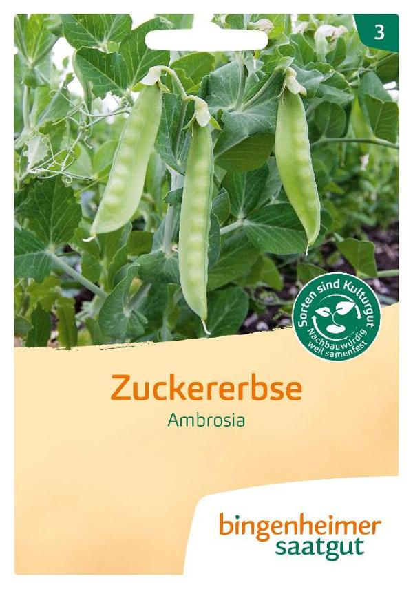 Produktfoto zu Saatgut Zuckererbse Ambrosia