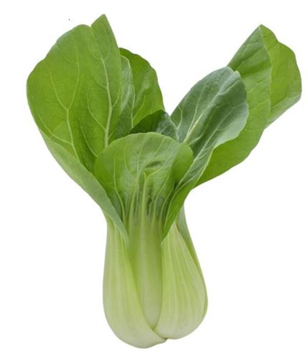 Produktfoto zu Pak Choi