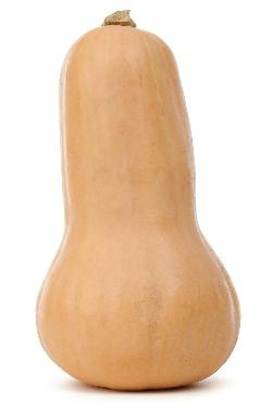 Produktfoto zu Kürbis Butternut