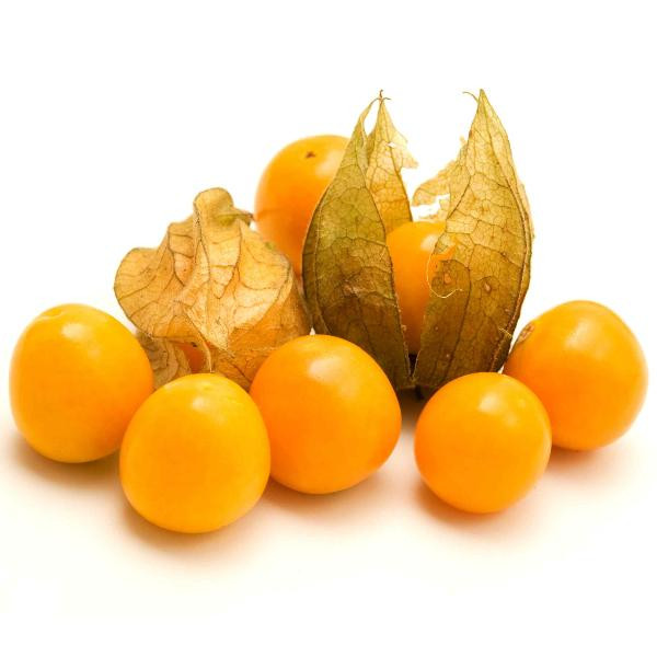 Produktfoto zu Physalis