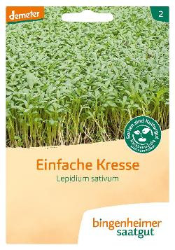 Produktfoto zu Saatgut Kresse