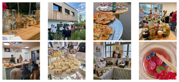 KI generiert: Das Bild zeigt verschiedene Szenen aus einem biologischen Event oder Markt, auf dem Essen und Getränke angeboten werden. Menschen probieren Speisen, es gibt Verkaufsstände, und ein Bioladen ist ebenfalls abgebildet.