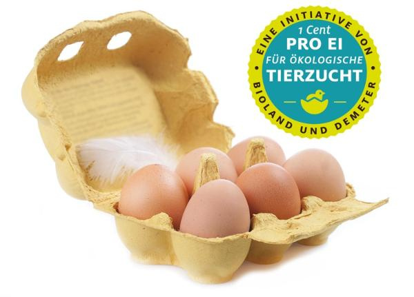 Produktfoto zu Eier 6 Stück