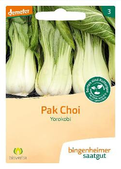 Produktfoto zu Saatgut Kohl, Pak Choi