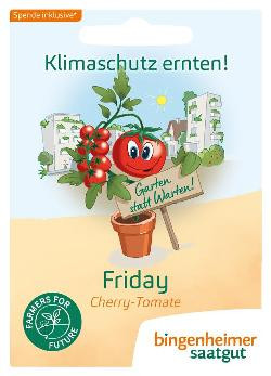 Produktfoto zu Saatgut Cherrytomate Friday