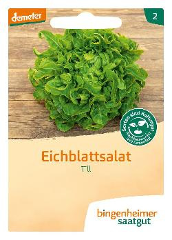 Produktfoto zu Saatgut Eichblattsalat Till