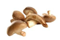 Produktfoto zu Shiitake